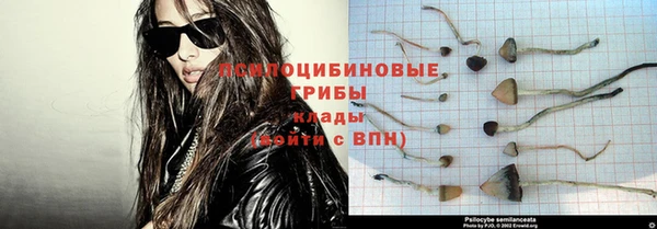 спайс Богородск
